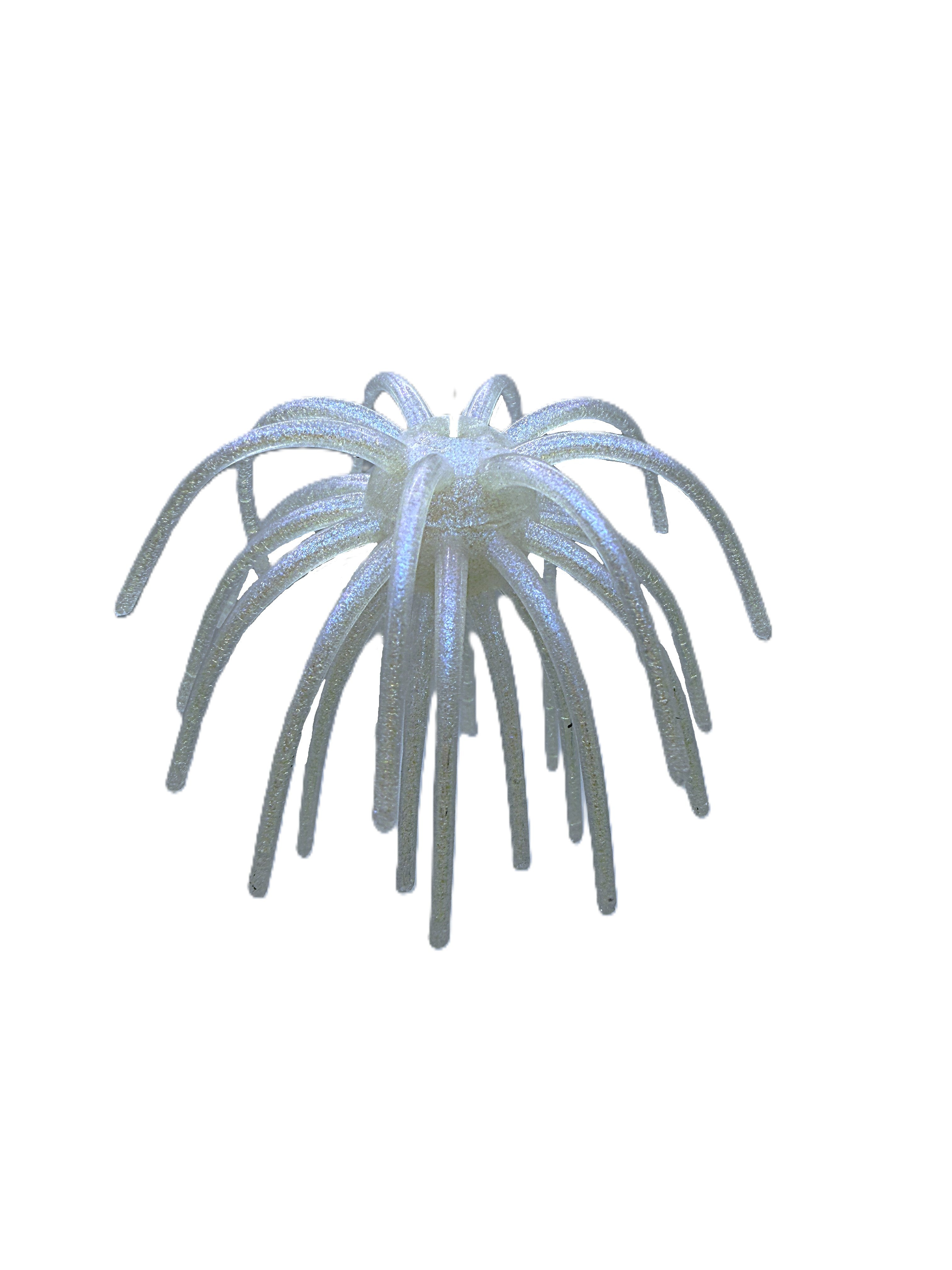 28 Tentacle Sweetgum XL