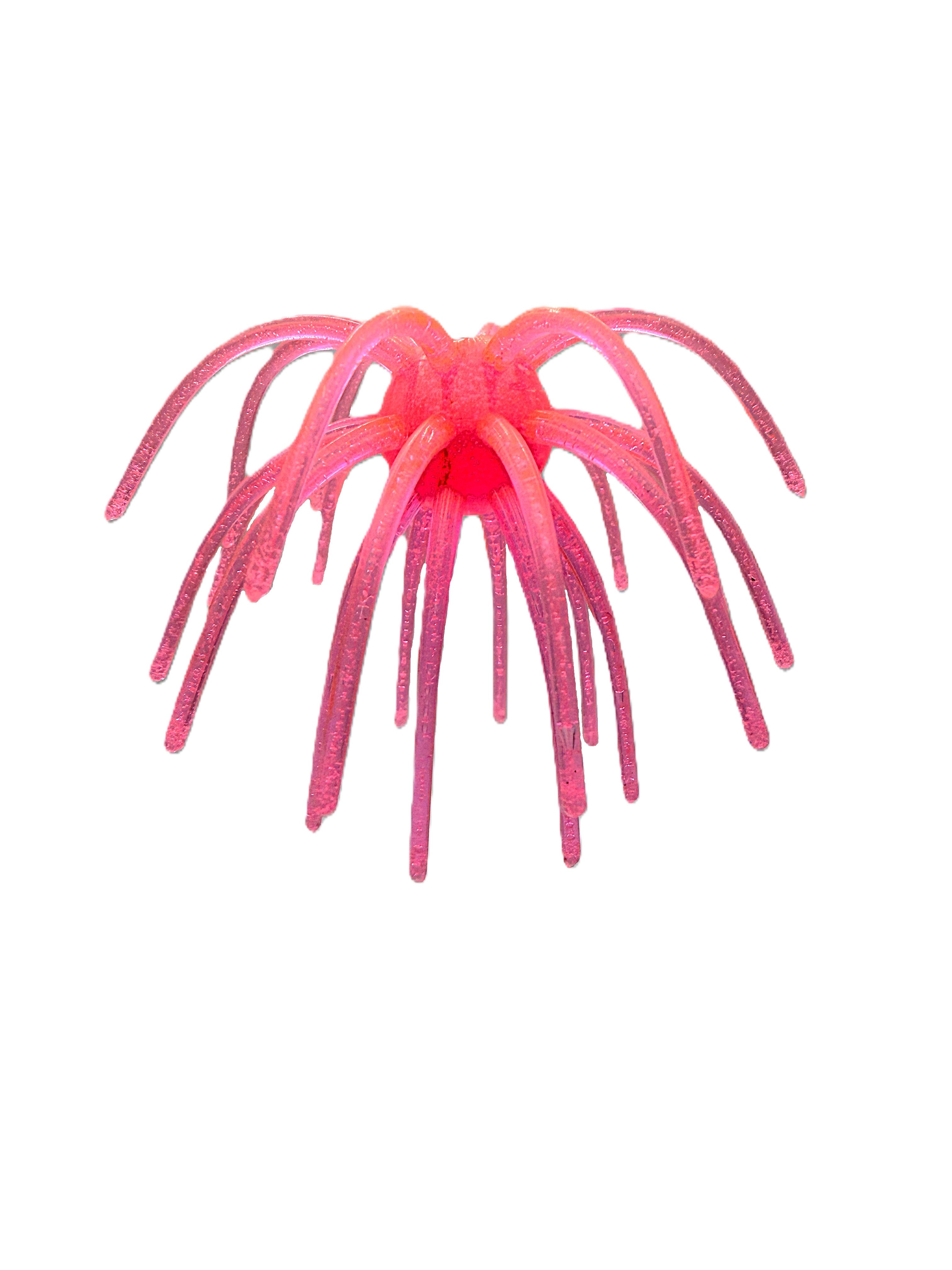 28 Tentacle Sweetgum XL