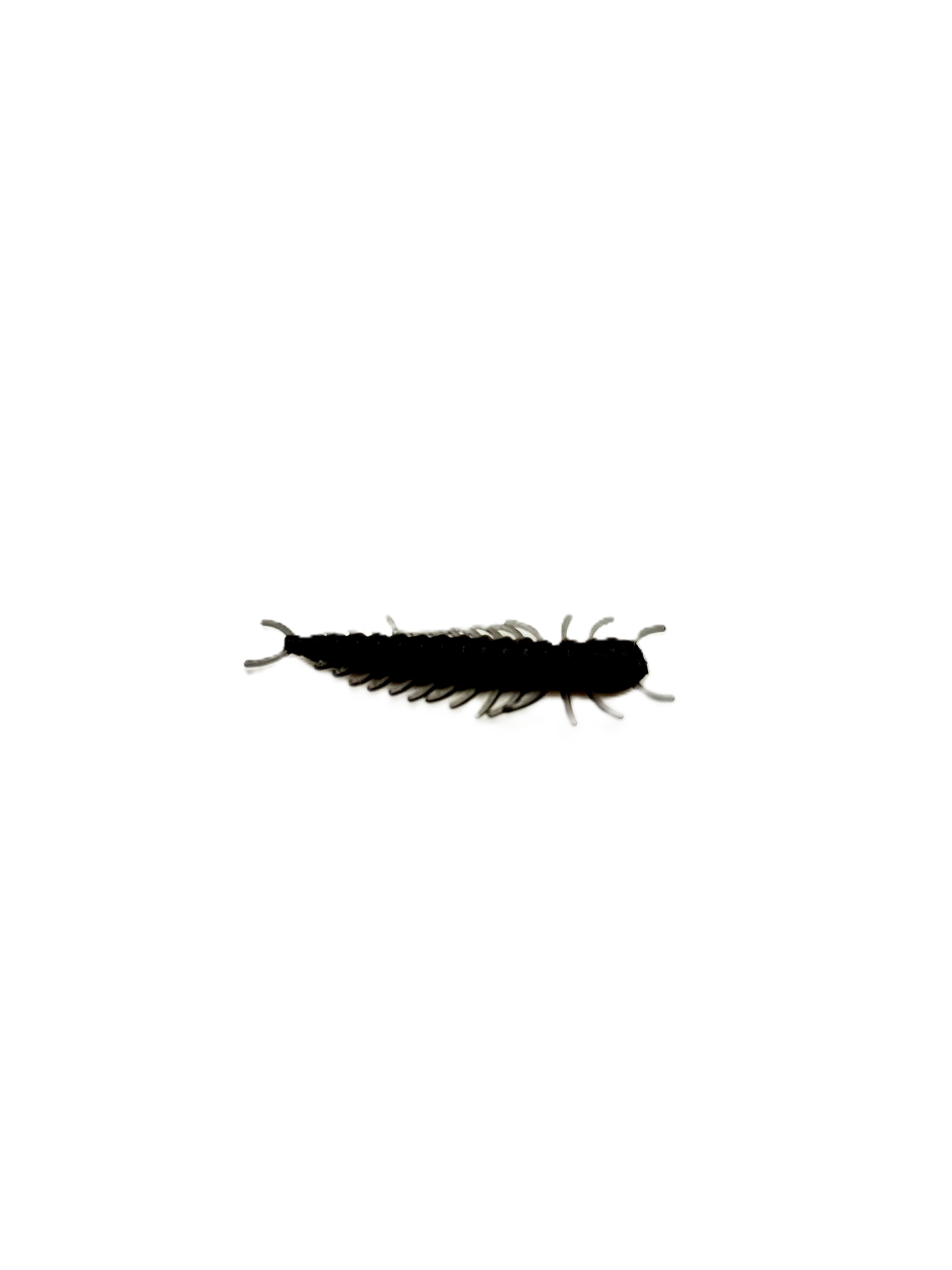 2 Inch Hellgrammite
