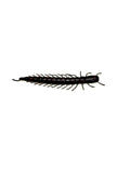 6 Inch Hellgrammite
