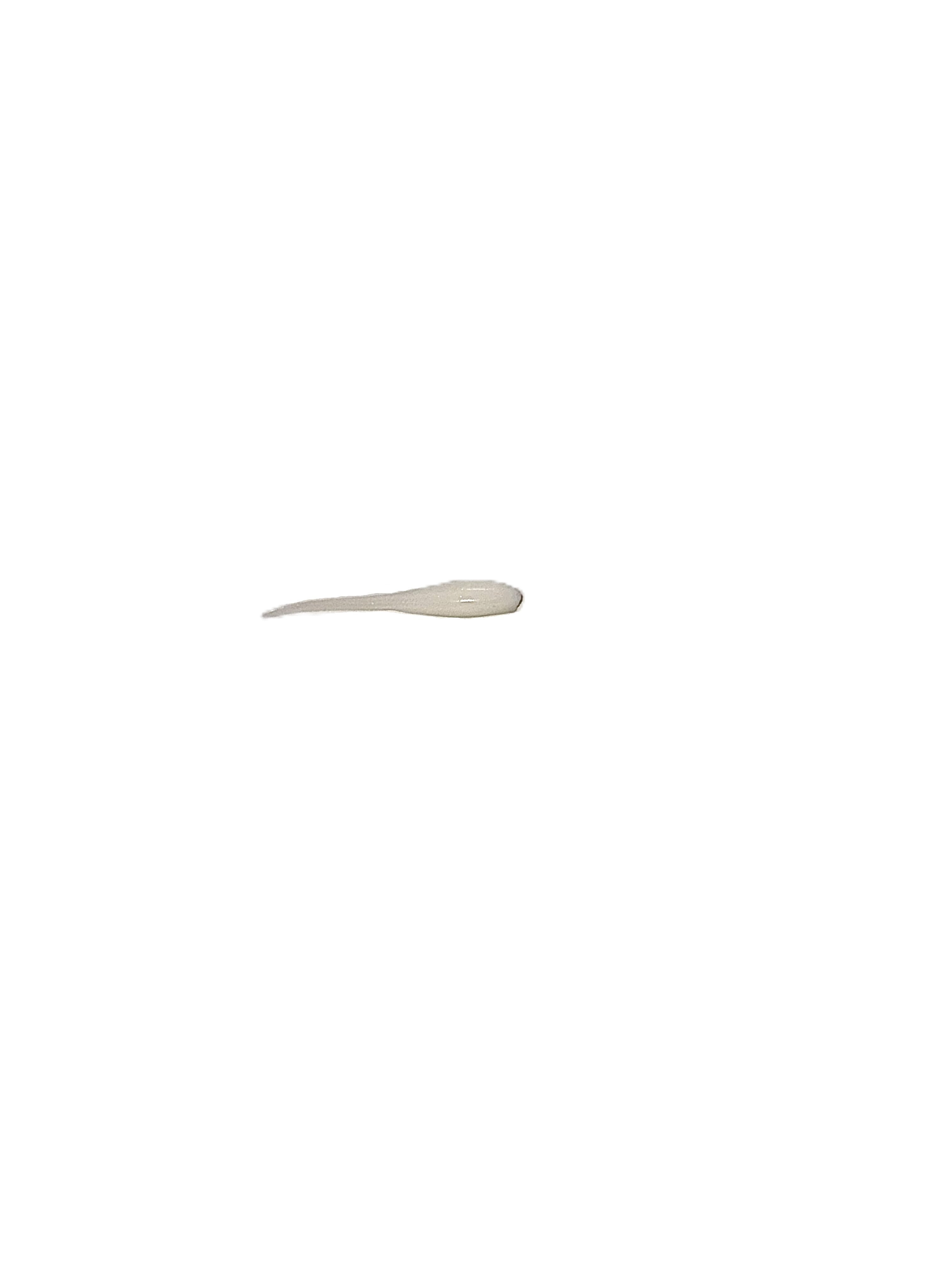 2.4 Inch Little Swimmer