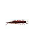 4 Inch Hellgrammite
