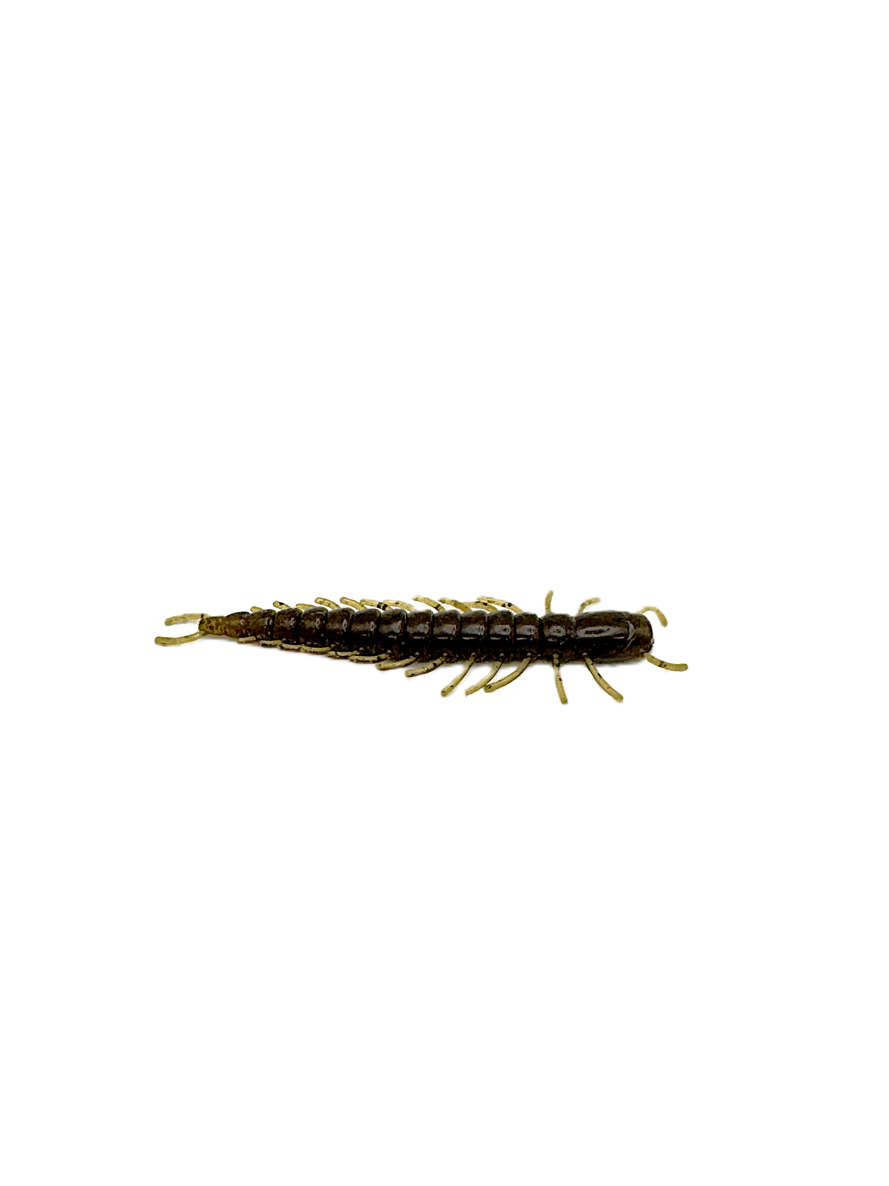4 Inch Hellgrammite