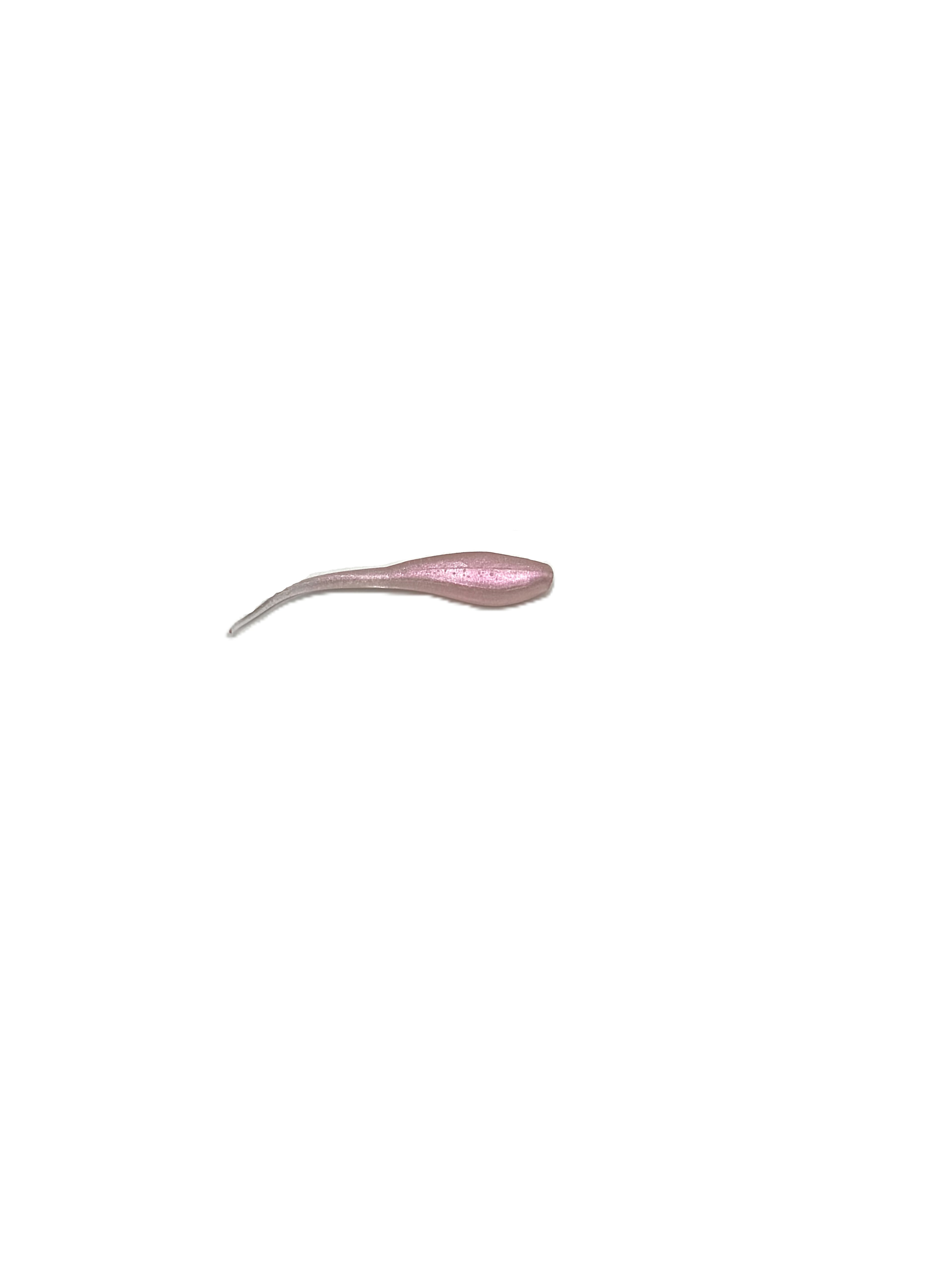 2.4 Inch Little Swimmer