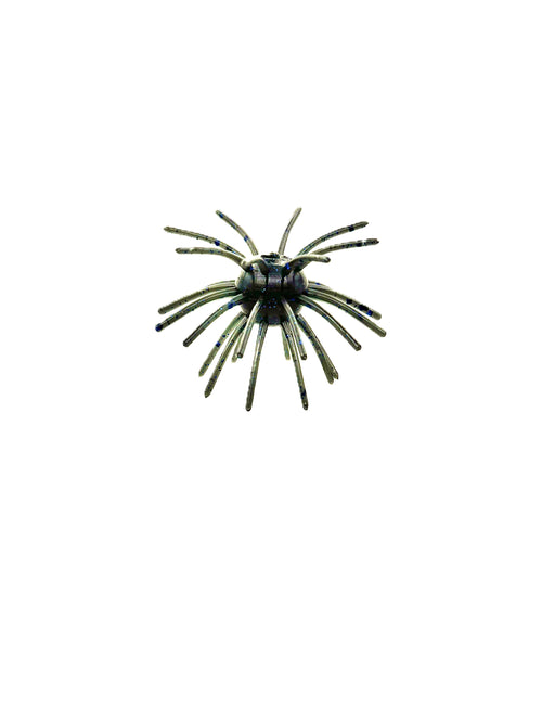 22 Tentacle Sweetgum