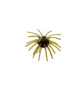 22 Tentacle Sweetgum