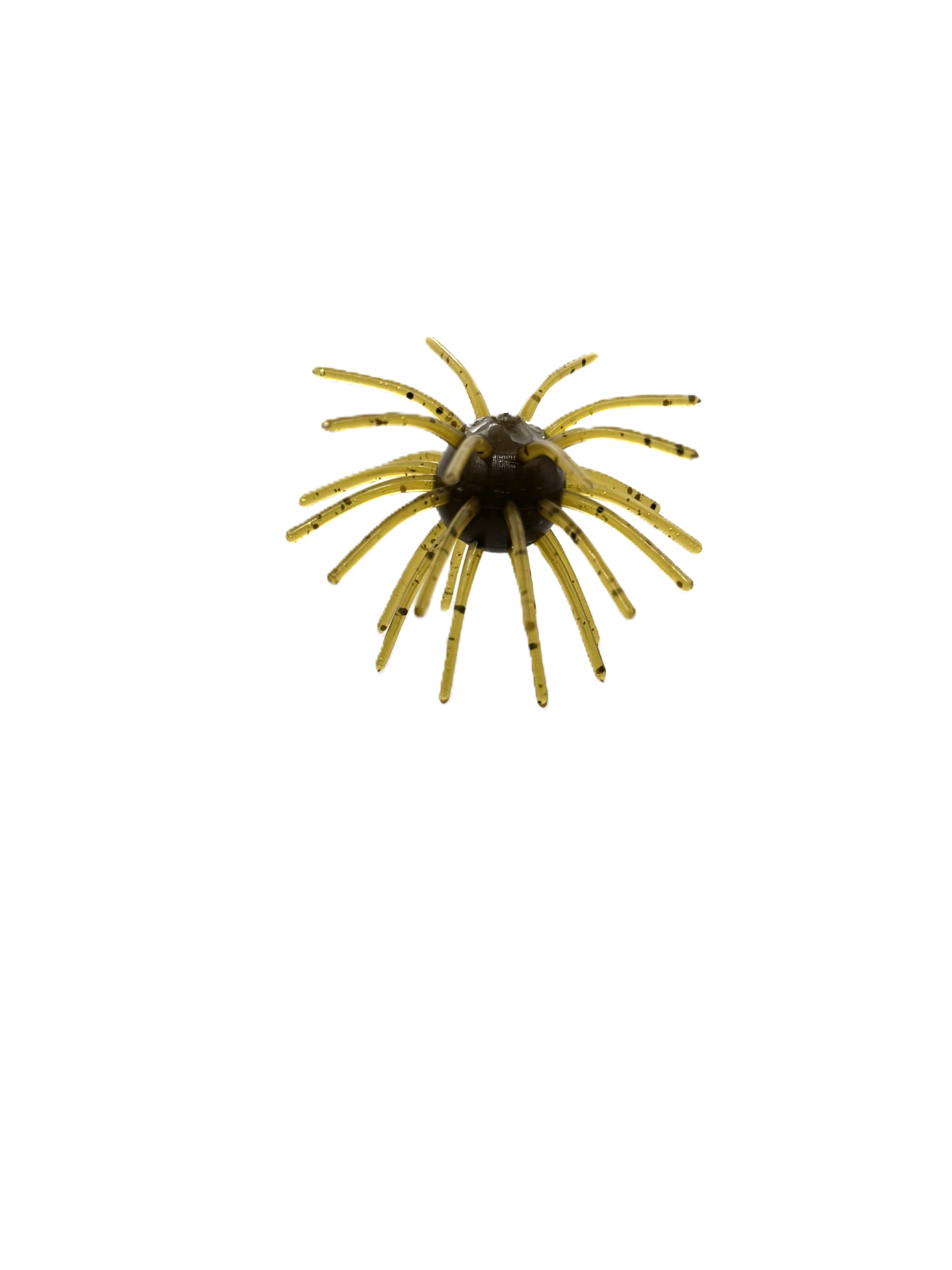 22 Tentacle Sweetgum